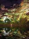 Maple viewing at night * 450 x 600 * (207KB)
